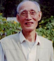 杨子敏-文学评论家