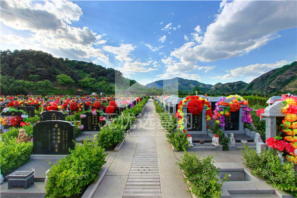 北京某公墓墓区图
