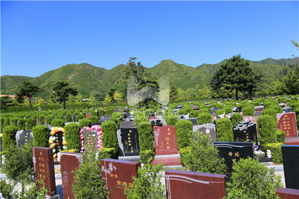 北京天寿陵园墓区环境