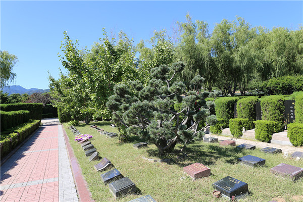 天寿陵园树葬
