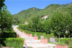 北京哪家陵园有树葬？北京有多少家树葬陵园？