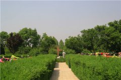 2021年北京周边陵园关注度排行