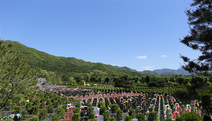 天寿陵园墓区