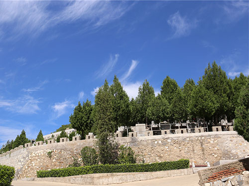 龙泉公墓环境