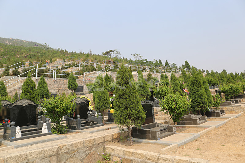树葬墓地