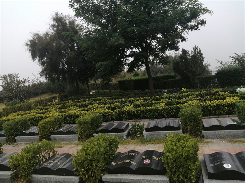 黄河纪念园生态葬卧碑