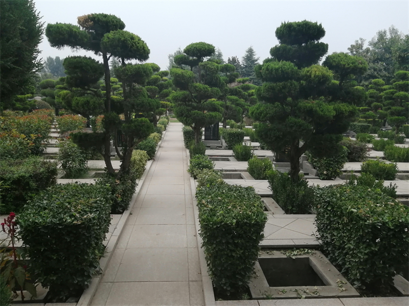 洪家坡公墓