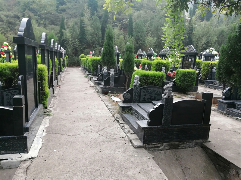 墓地环境