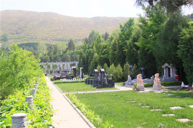 立碑墓地