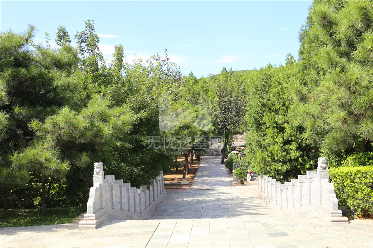 龙泉公墓阶梯