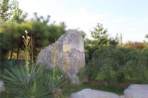 天慈墓园自然石碑