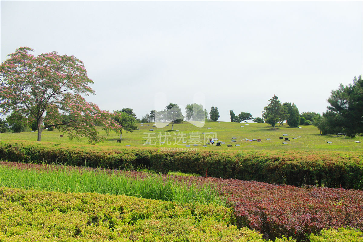 华龙皇家陵园生态葬区