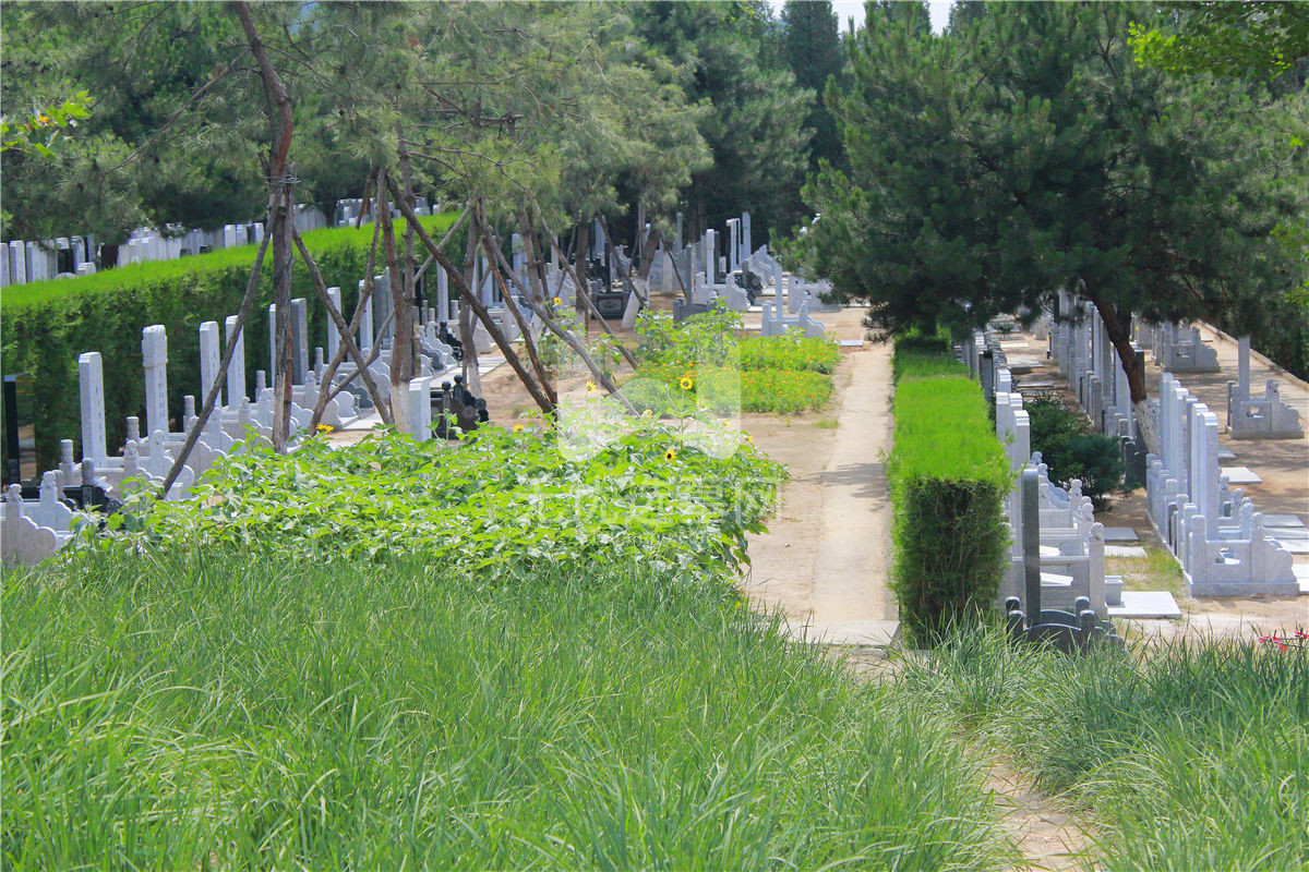 华龙皇家陵园传统墓区