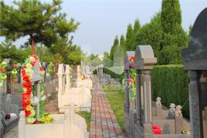 高静园公墓传统墓区