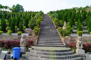 奇峰山陵园墓区阶梯