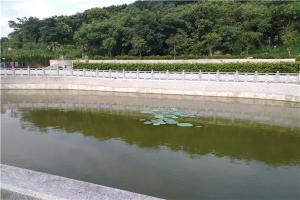 仙友山公墓水系