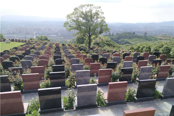 仙友山公墓墓区